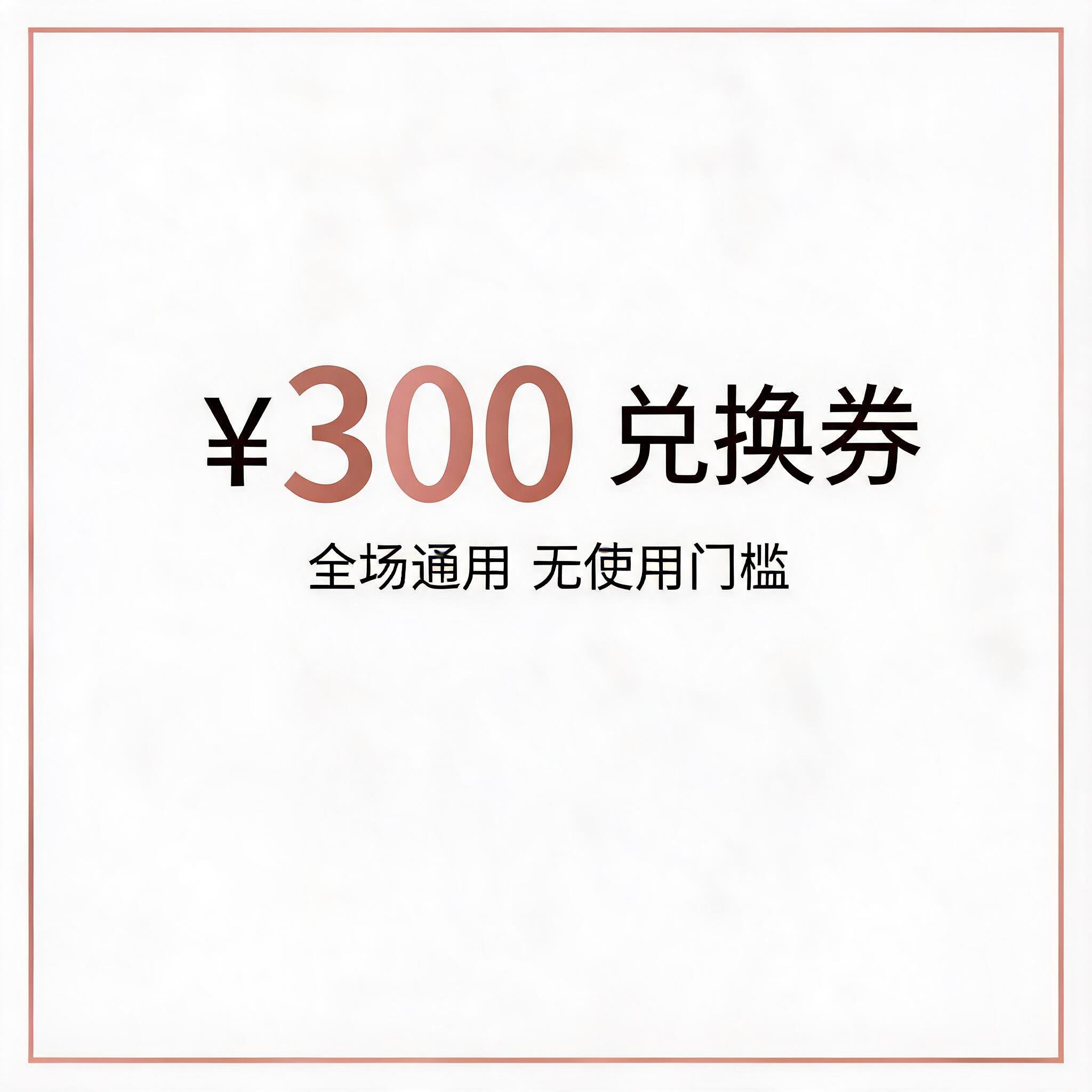 300元兑换券
